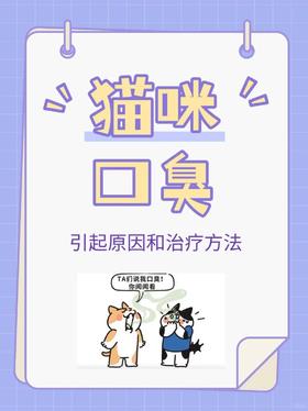 猫咪口臭别大意！