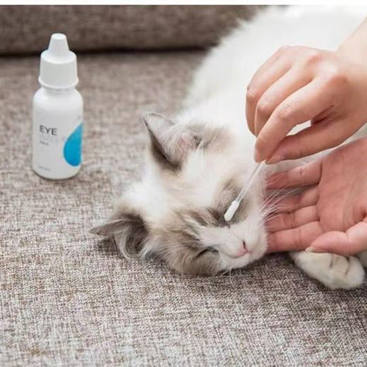 宠物耳朵清洁液 猫咪狗狗耳部草本提取温和舒服洁净宠物祛耳臭液 商品图1