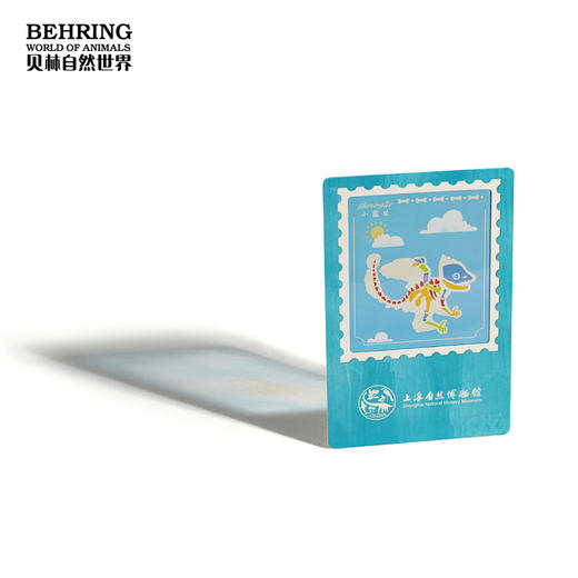 “龙吟九州”中国恐龙大展恐龙地带系列明信片 商品图4