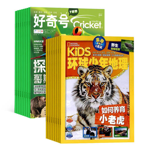 【好奇号+环球少年地理】组合杂志2026年刊订阅 商品图0
