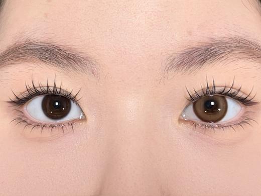 Mixmixx半年抛-- 乳酸酪酪 商品图3