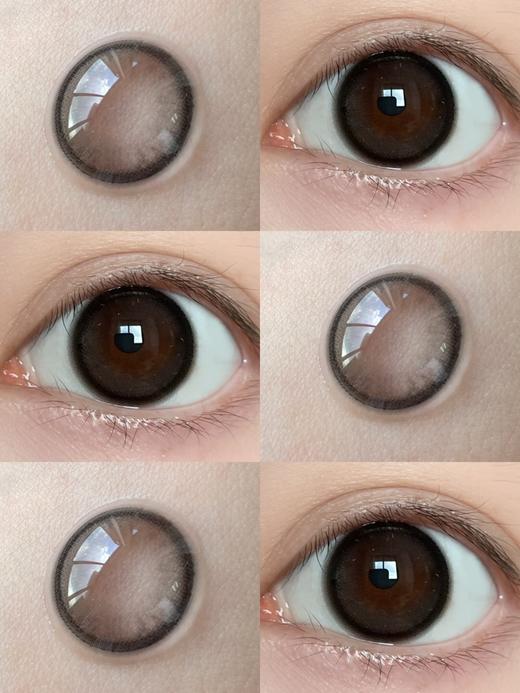 Laseecon日抛 ·黑猪猪二代  14.5mm白狮参考着色中大直径 · 十片装 商品图1