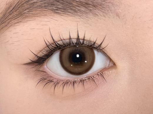 Mixmixx半年抛-- 乳酸酪酪 商品图1