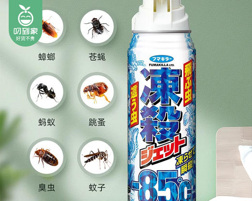 日本FUMAKILLA福马零下85°瞬间冻止喷雾（除虫喷雾）/1件（300ml）限用日期：27年12月补单专用 商品图1