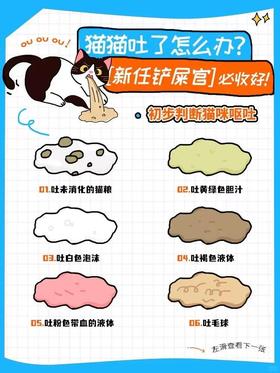 猫咪吐了怎么办？