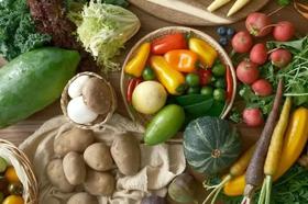  芒种时节 养生新“鲜”蔬菜吃起来！