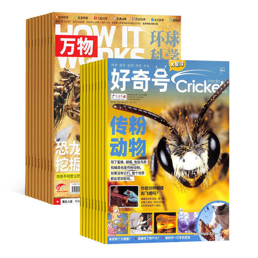 【万物+好奇号】组合杂志2026年刊订阅 商品图2