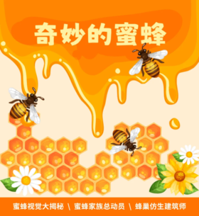 贵地博| 奇妙的蜜蜂