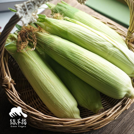 生态水果甜玉米 | 合作生产*Ecological fruit corn|  Partner Production 商品图5
