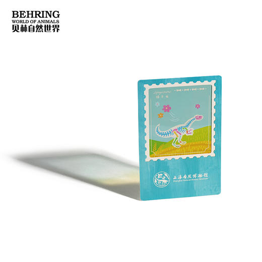 “龙吟九州”中国恐龙大展恐龙地带系列明信片 商品图2