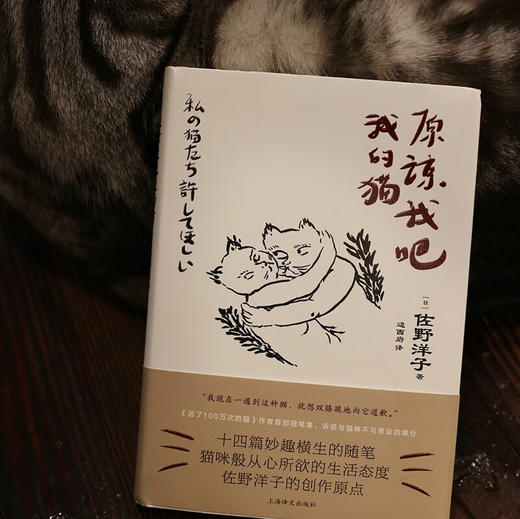 原谅我吧我的猫（日）佐野洋子 著 商品图5