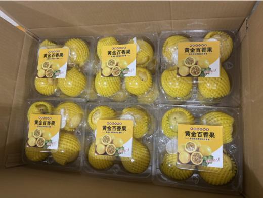 钦密九号黄金香果一盒 商品图2