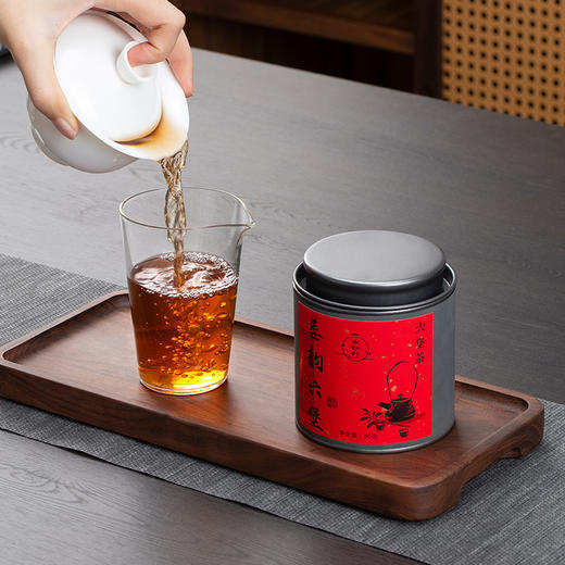 【多款可选】六山知野丨 广西梧州六堡茶 黑茶 50g 罐装  新旧包装随机发货（支持试喝1泡） 商品图3