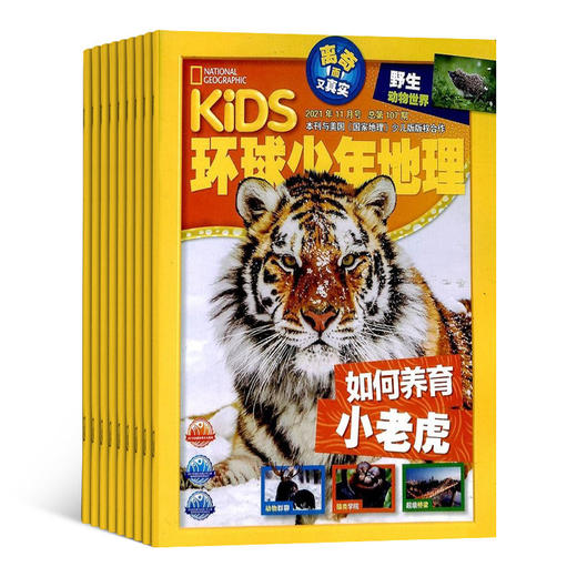 【好奇号+环球少年地理】组合杂志2026年刊订阅 商品图2