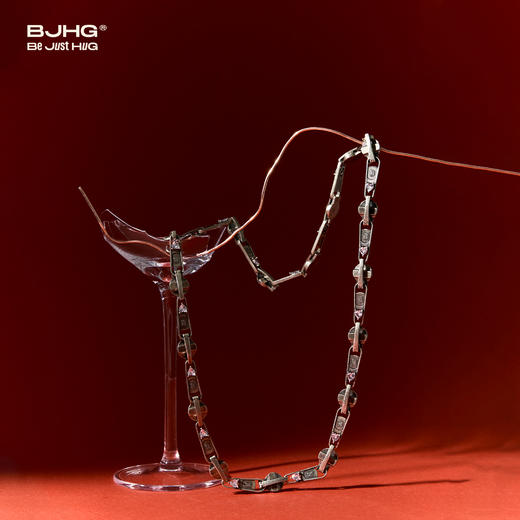 BJHG不计后果工业项链百搭个性高级感轻奢项链男女潮痞帅小众饰品 商品图1