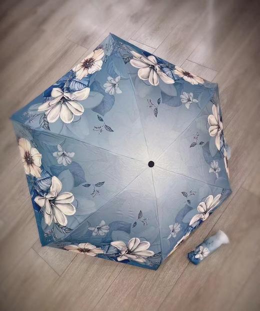 【爆】【3F】爱俪舍防晒伞 商品图1