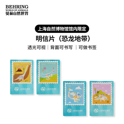 “龙吟九州”中国恐龙大展恐龙地带系列明信片 商品图0