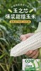 】生态珍珠奶棒爆浆甜糯玉米基地直邮 商品缩略图0