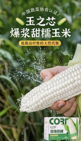 】生态珍珠奶棒爆浆甜糯玉米基地直邮