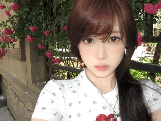 Laseecon日抛 ·谷物球 14.2mm白狮参考着色中大直径 · 十片装 商品图2