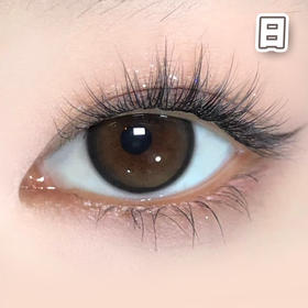 #斑比鹿 棕 14.2mm 8.5基弧【10片装】国产镜片 / 日抛