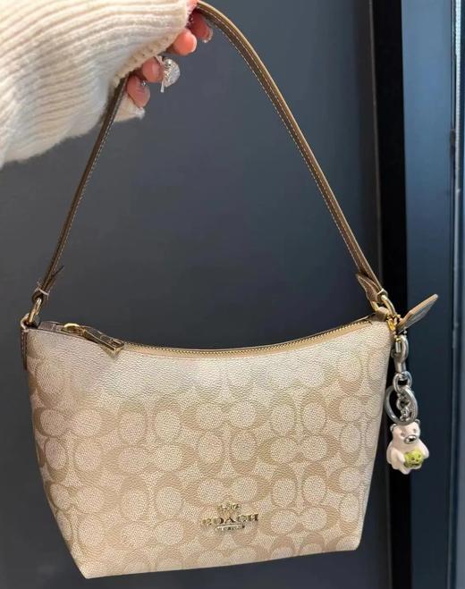 代工厂捡漏随时下架蔻c*老花月牙饺子包 商品图9