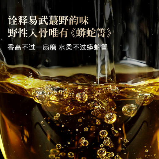 【蟒蛇箐】2025年头采春茶古树易武茶区蟒蛇箐诠释易武蕞野韵味易武精微产品357克/饼，拍5发6拍20发25 商品图3