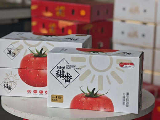 阳光甜番🍓草莓柿子🍅
一口咬下，仿佛冰糖心在口中绽放！那口感就像水果与番茄蜜饯的完美结合，皮薄如纸，果肉沙软多汁，酸甜比例堪称完美（酸味就像初恋时的心动）3斤/箱 商品图4