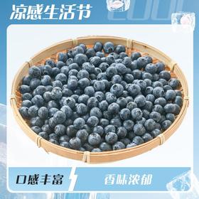 国产蓝莓500g14mm+/盒