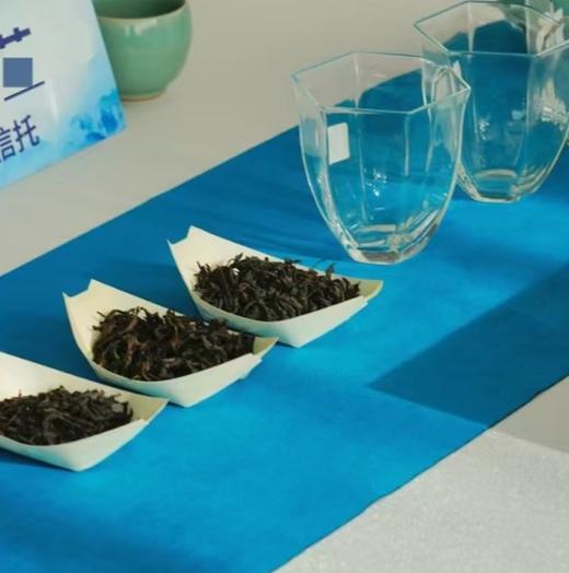 茶叶趣味盲评会 商品图1