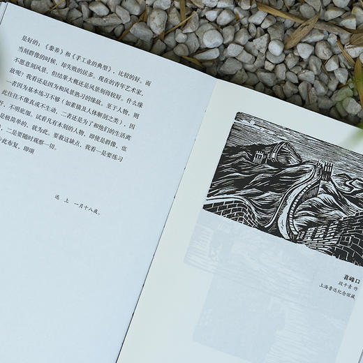 无声的呐喊：鲁迅评版画选集 商品图2