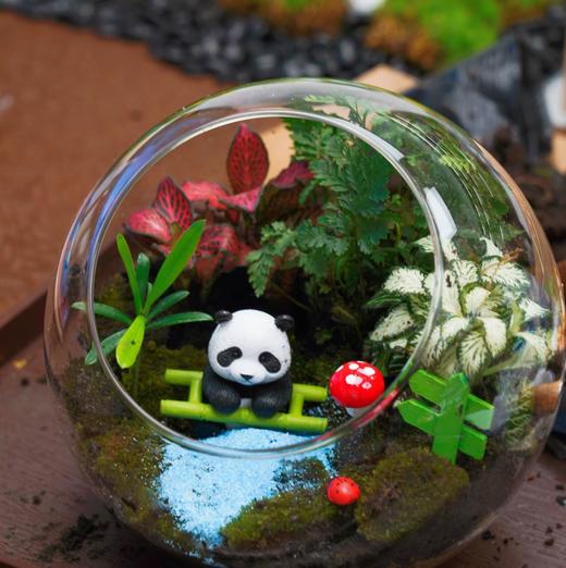 微景观DIY 商品图0