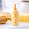 🌽西双版纳香糯小玉米🌽非转基因，既糯又甜的珍珠小玉米 商品缩略图2