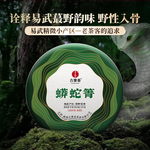 【蟒蛇箐】2025年头采春茶古树易武茶区蟒蛇箐诠释易武蕞野韵味易武精微产品357克/饼，拍5发6拍20发25 商品图0