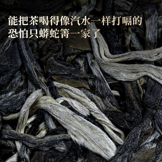 【蟒蛇箐】2025年头采春茶古树易武茶区蟒蛇箐诠释易武蕞野韵味易武精微产品357克/饼，拍5发6拍20发25 商品图1