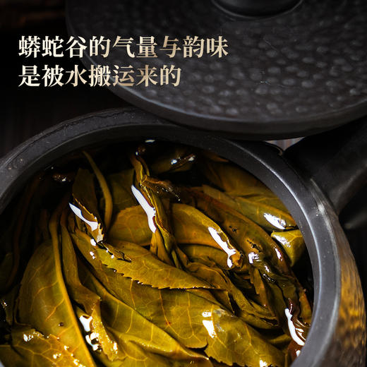 【蟒蛇箐】2025年头采春茶古树易武茶区蟒蛇箐诠释易武蕞野韵味易武精微产品357克/饼，拍5发6拍20发25 商品图4