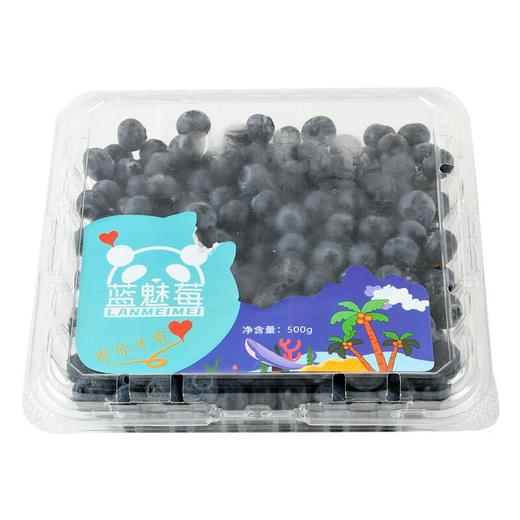 国产蓝莓500g14mm+/盒 商品图2