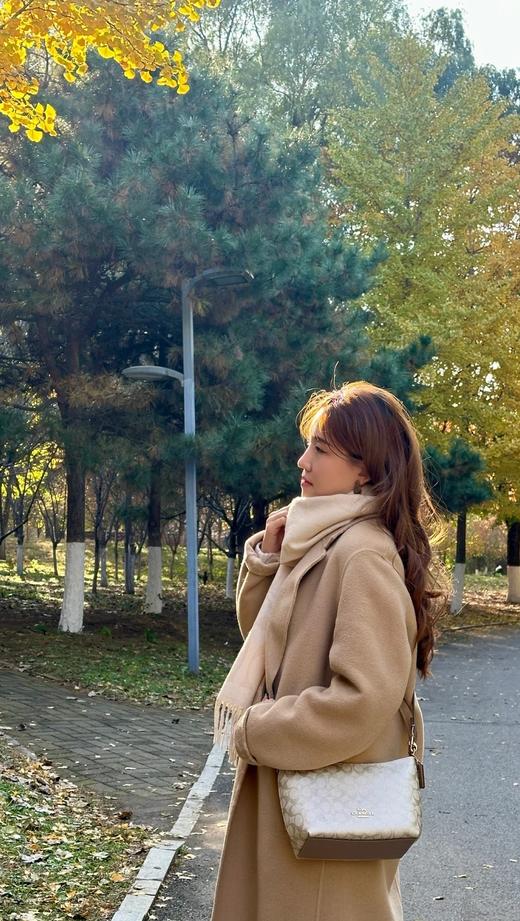 代工厂捡漏随时下架蔻c*老花月牙饺子包 商品图3