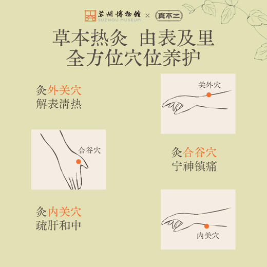【苏州博物馆×真不二】新品菖蒲路路通手腕贴（5片/盒） 商品图2