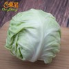 东升农场 有机水果甘蓝 青椰菜 蔬菜沙拉 有机蔬菜 广东配送 400g 商品缩略图2