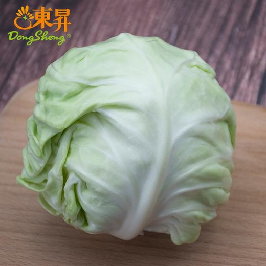 东升农场 有机水果甘蓝 青椰菜 蔬菜沙拉 有机蔬菜 广东配送 400g 商品图2