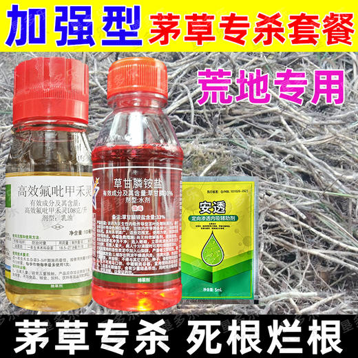 顽固茅草游草芦苇专杀套餐除草剂死根灭草剂一年生禾本科杂草专用 商品图2