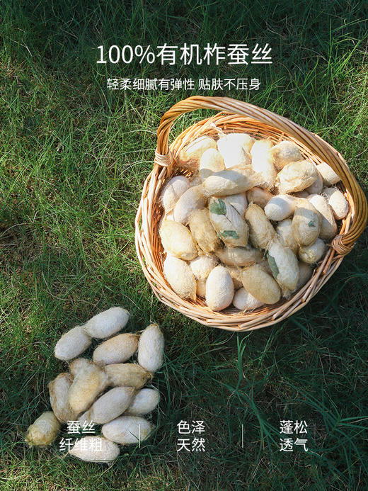 佳丽斯空调蚕丝芯双面缎面桑蚕丝夏空调被 商品图2