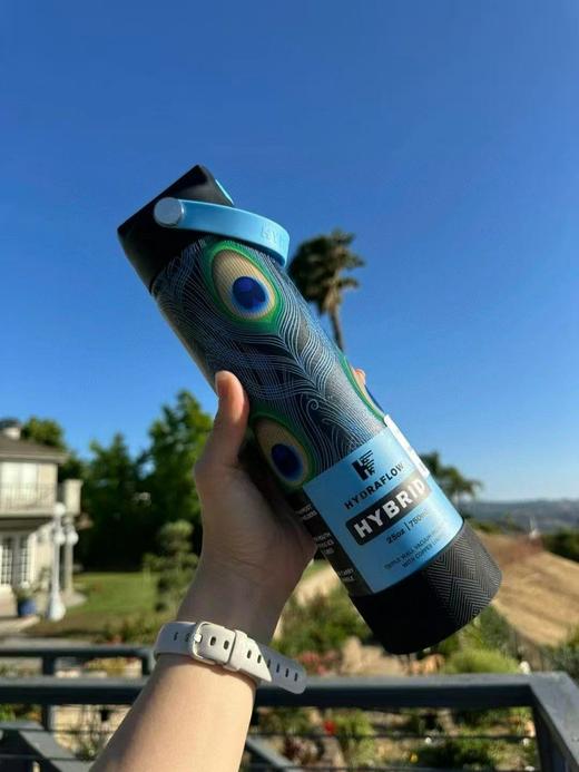 美国本土 · Hydraflow HYBRID系列保冷可手提吸管水杯 750ml ｜美国直邮 商品图3