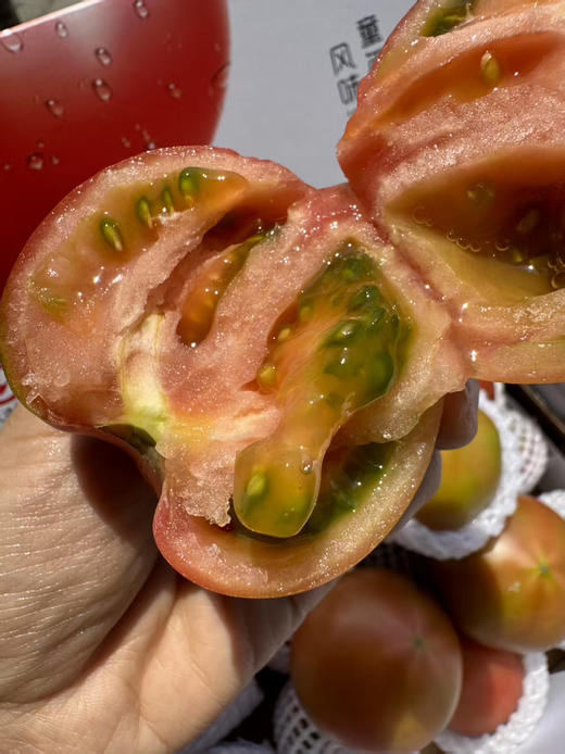 阳光甜番🍓草莓柿子🍅
一口咬下，仿佛冰糖心在口中绽放！那口感就像水果与番茄蜜饯的完美结合，皮薄如纸，果肉沙软多汁，酸甜比例堪称完美（酸味就像初恋时的心动）3斤/箱 商品图0