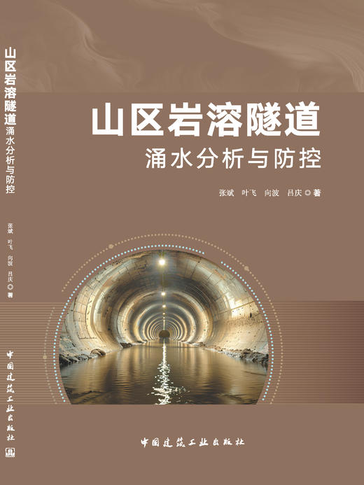 山区岩溶隧道涌水分析与防控 商品图3