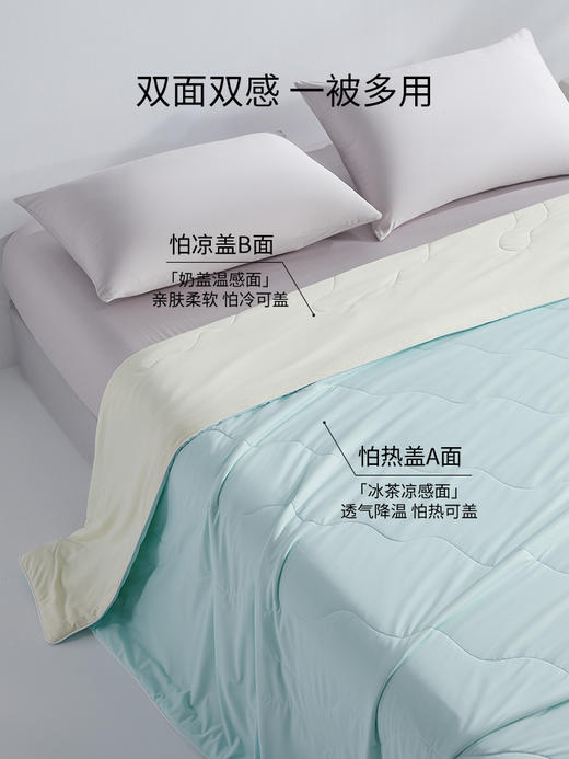 佳丽斯空调蚕丝芯双面缎面桑蚕丝夏空调被 商品图5
