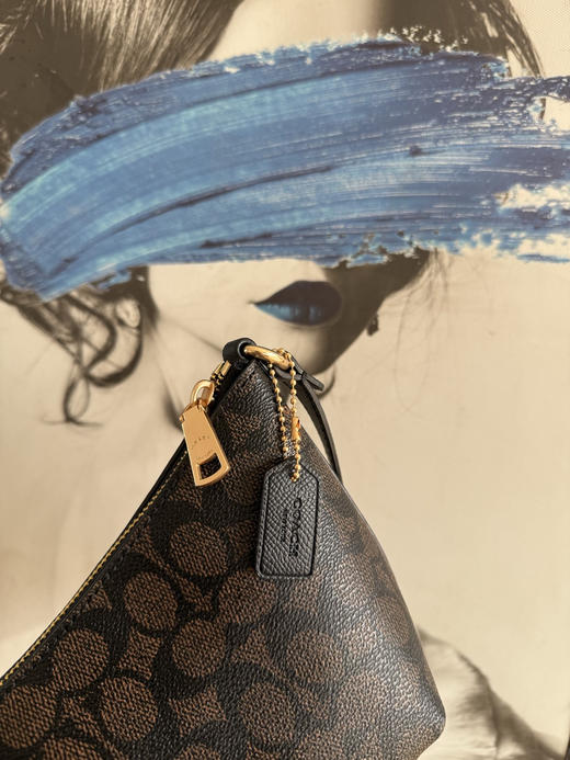 代工厂捡漏随时下架蔻c*老花月牙饺子包 商品图13