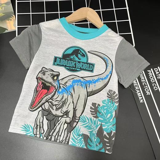 【选2件15元-NO退】4恐龙灰蓝卡通短袖-微脏-喜出 商品图0