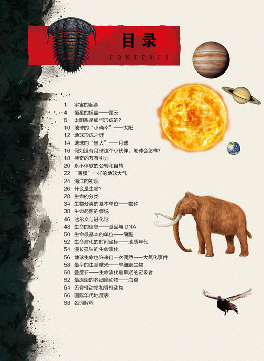 《生命简史：穿越地球46亿年》（全12册） 商品图4
